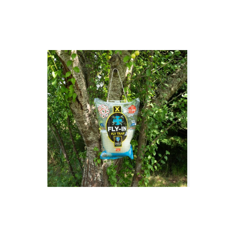 Fly-Trap ad acqua usa e getta