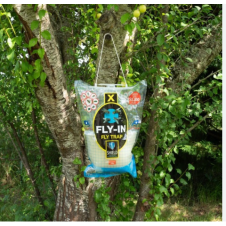 Fly-Trap ad acqua usa e getta