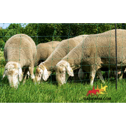 Net120 - Rete per ovini e cani 1,20 x 50m