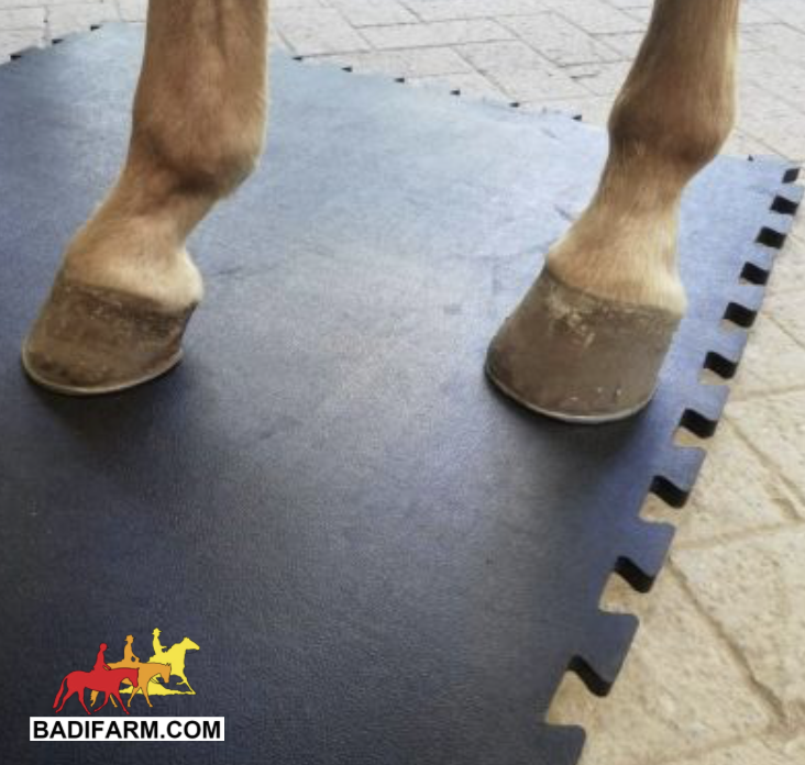 Tappeto in gomma MAT10 Interlock (100x100 cm)