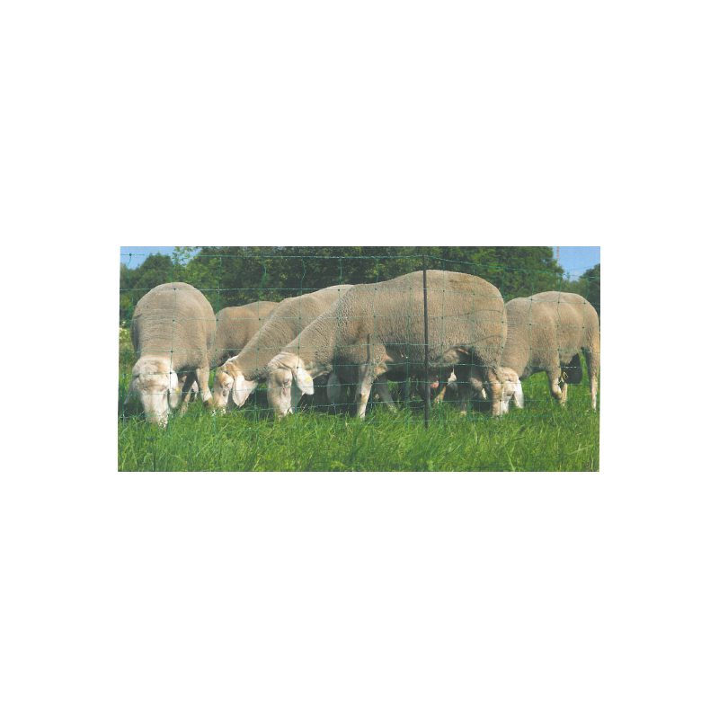Net120 - Rete per ovini e cani 1,20 x 50m