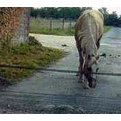 Kit Road Gate – Cancello sulla strada