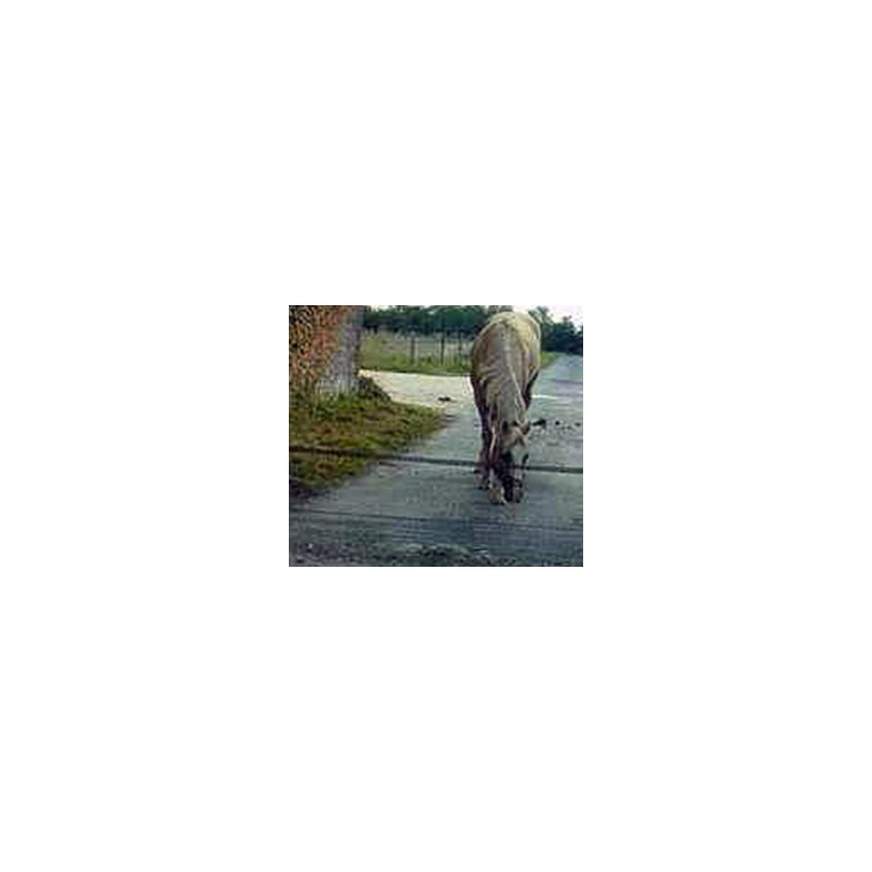 Kit Road Gate – Cancello sulla strada
