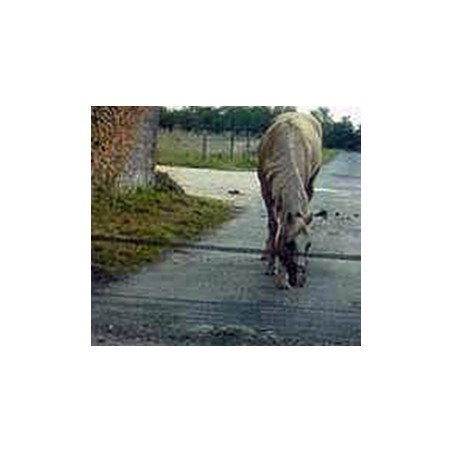 Kit Road Gate – Cancello sulla strada