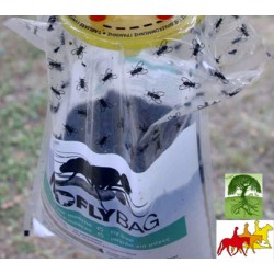 Fly-Trap ad acqua usa e getta