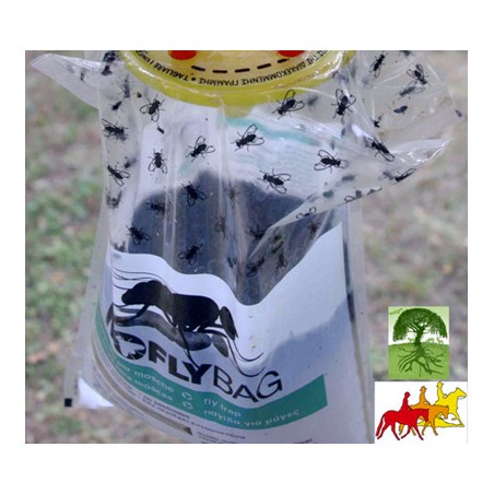 Fly-Trap ad acqua usa e getta