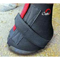 Pastern Wraps - coppia
