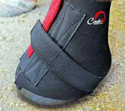 Pastern Wraps - coppia