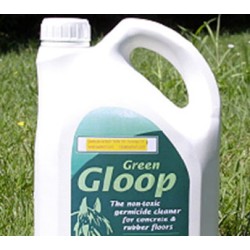 Green Gloop sanitizzante 2 l