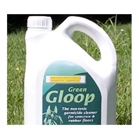 Green Gloop sanitizzante 2 l
