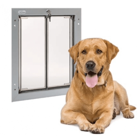 Plexidor Door 30 x 41 cm argento