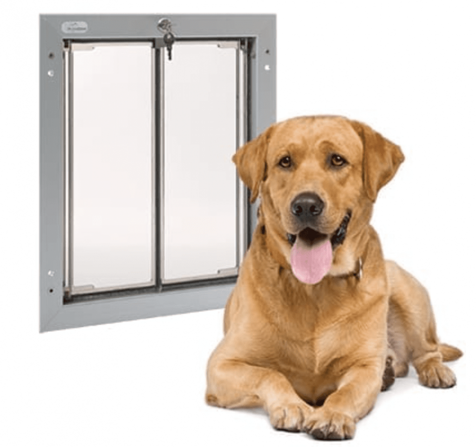 Plexidor Door 30 x 41 cm argento