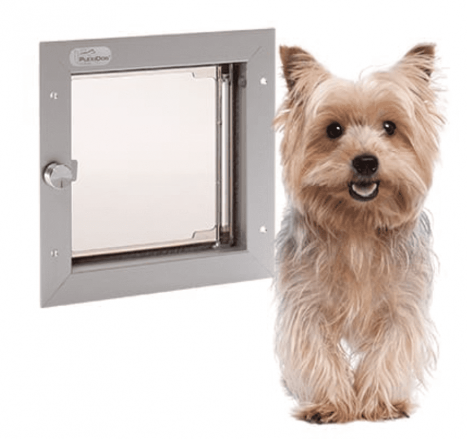 Plexidor Door 17 x 19 cm argento