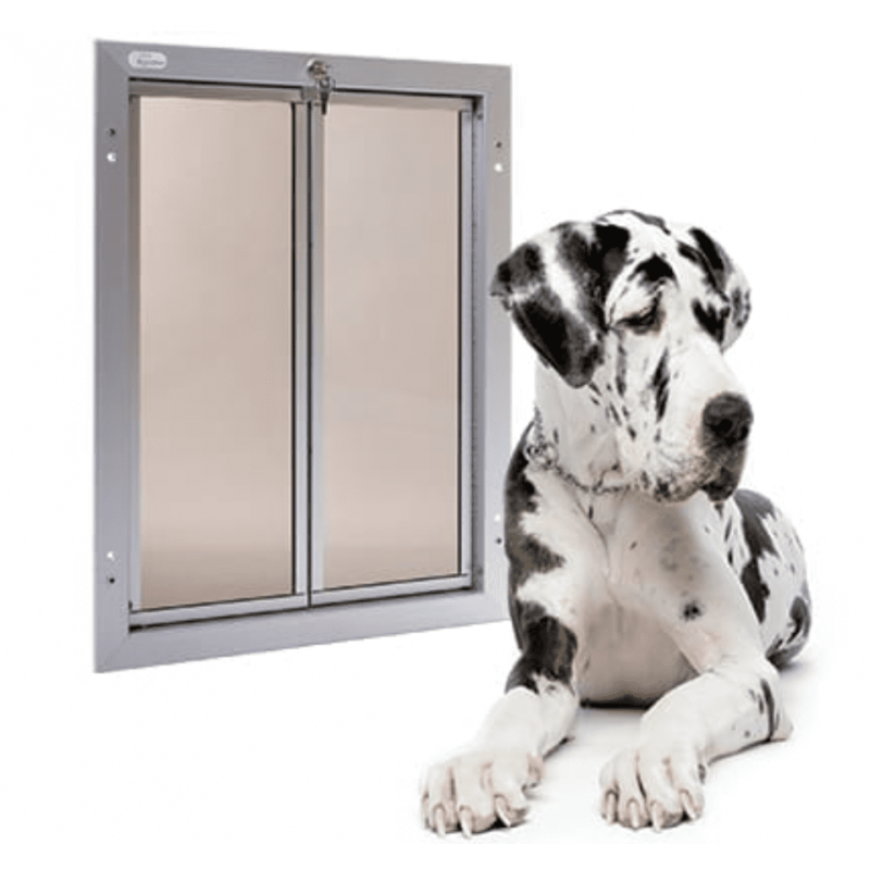 Plexidor Door 41 x 60 cm argento