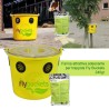 Fly Buckets farina adescante