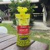 JACKET JAR_Trappola_vespe_calabroni
