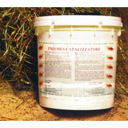 promo_Bec12,5 - Enzymes catalyst conf. 12,5Kg (copy)