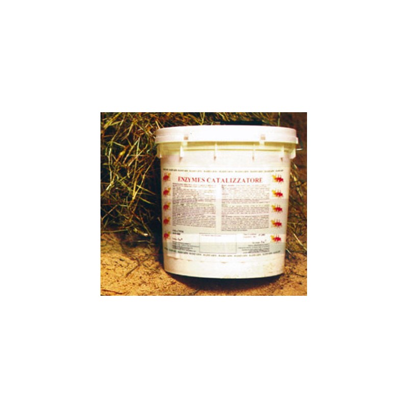 promo_Bec12,5 - Enzymes catalizzatore conf. 12,5Kg (copia)