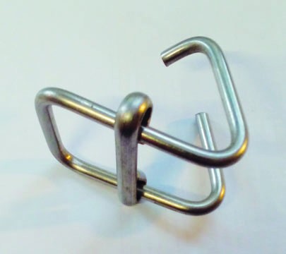 Solo fibbia inox tenditore