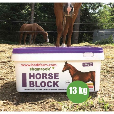 Horse Block 13 kg