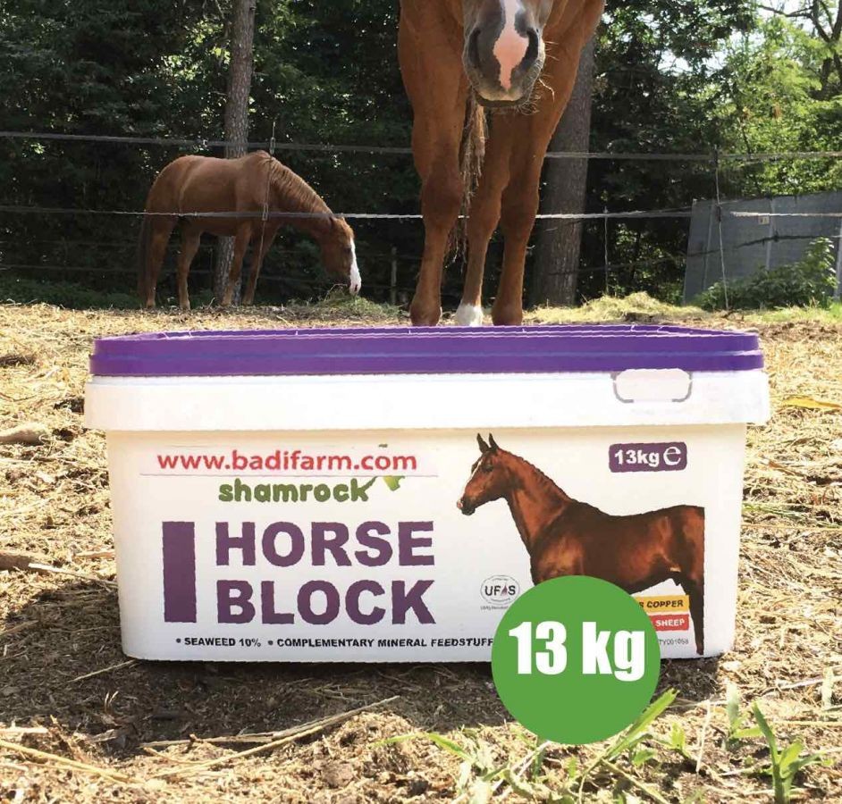 Horse Block 13 kg