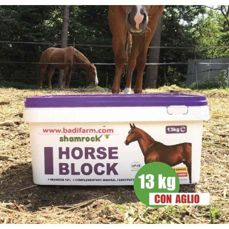 Horse Block 13 kg + aglio