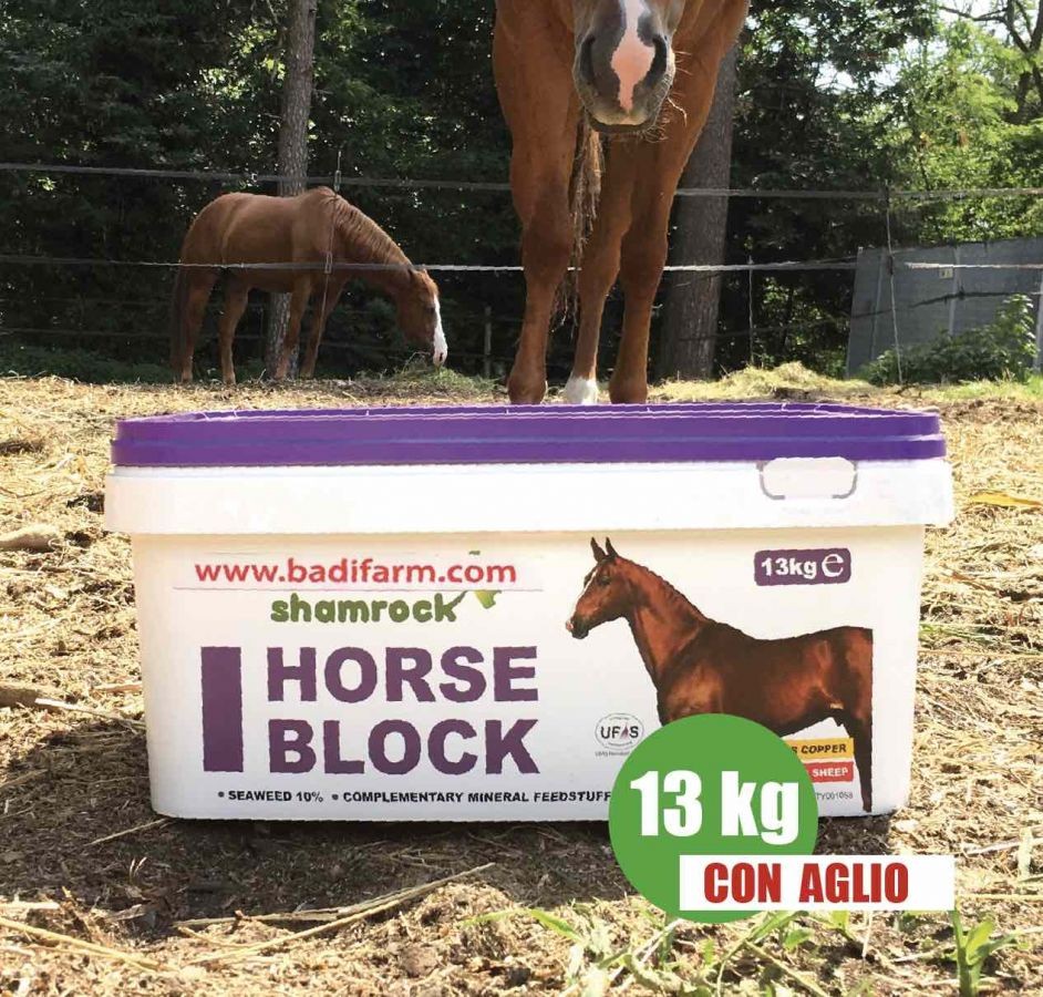 Horse Block 13 kg + aglio