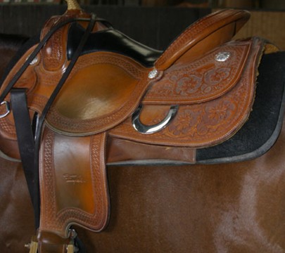 Sella Western BF04 Training/Show