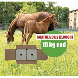Blocco di sale - 2 blocchi da 10 kg