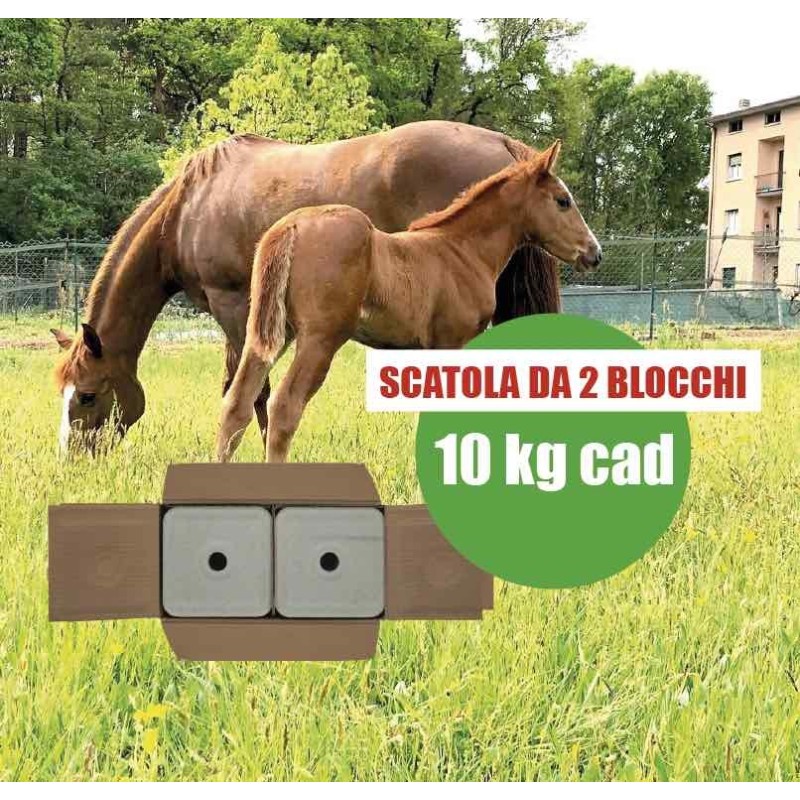 Blocco di sale - 2 blocchi da 10 kg