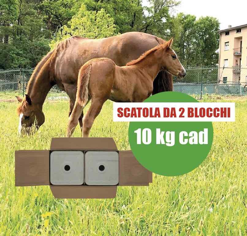 Blocco di sale - 2 blocchi da 10 kg