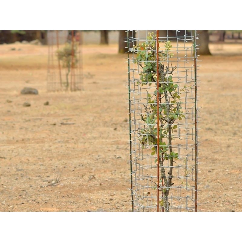 Rete cactus protector 1,70 m x 1,20 m