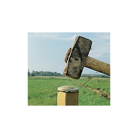 Martyr (75 x 75 mm)