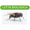 Lotta biologica - 1 mese (50.000)