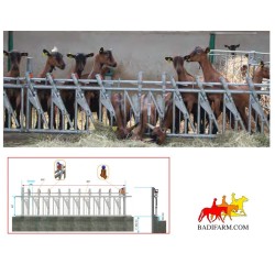 Autocattura 2,5 m - 10 posti