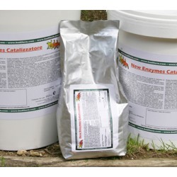 Enzymes catalizzatore 1 kg