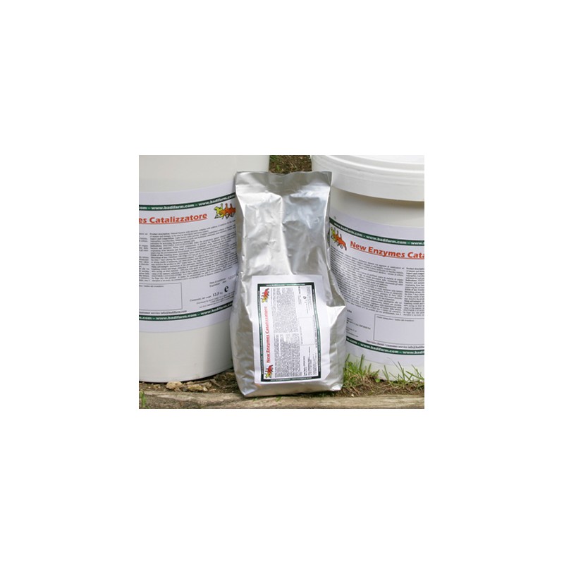 Enzymes catalizzatore 1 kg