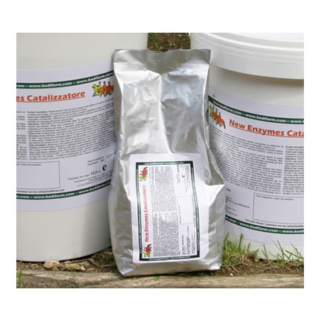 Enzymes catalizzatore 1 kg