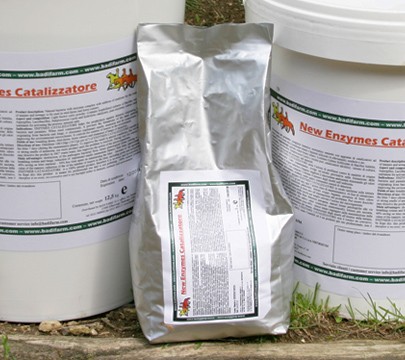 Enzymes catalizzatore 1 kg