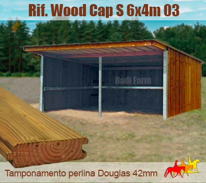 Capannina tetto MONOFALDA 6x4m