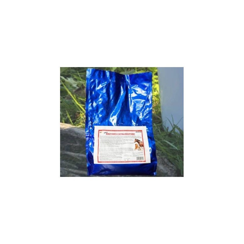Enzymes catalizzatore 5 kg