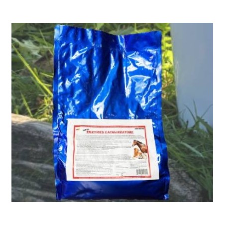 Enzymes catalizzatore 5 kg