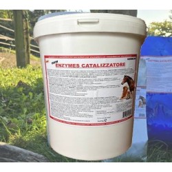 Enzymes catalizzatore 12,5 kg