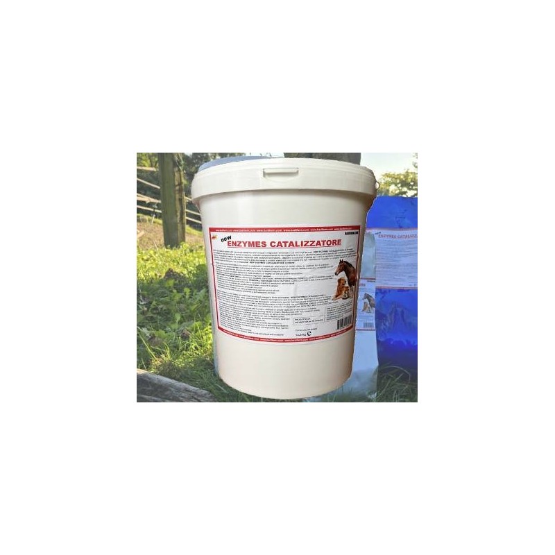 Enzymes catalizzatore 12,5 kg