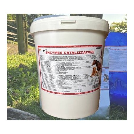 Enzymes catalizzatore 12,5 kg