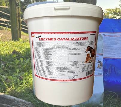 Enzymes catalizzatore 12,5 kg