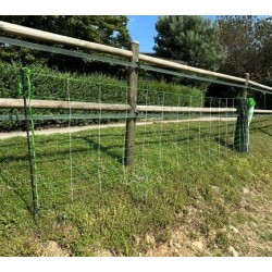 Rete pastorale