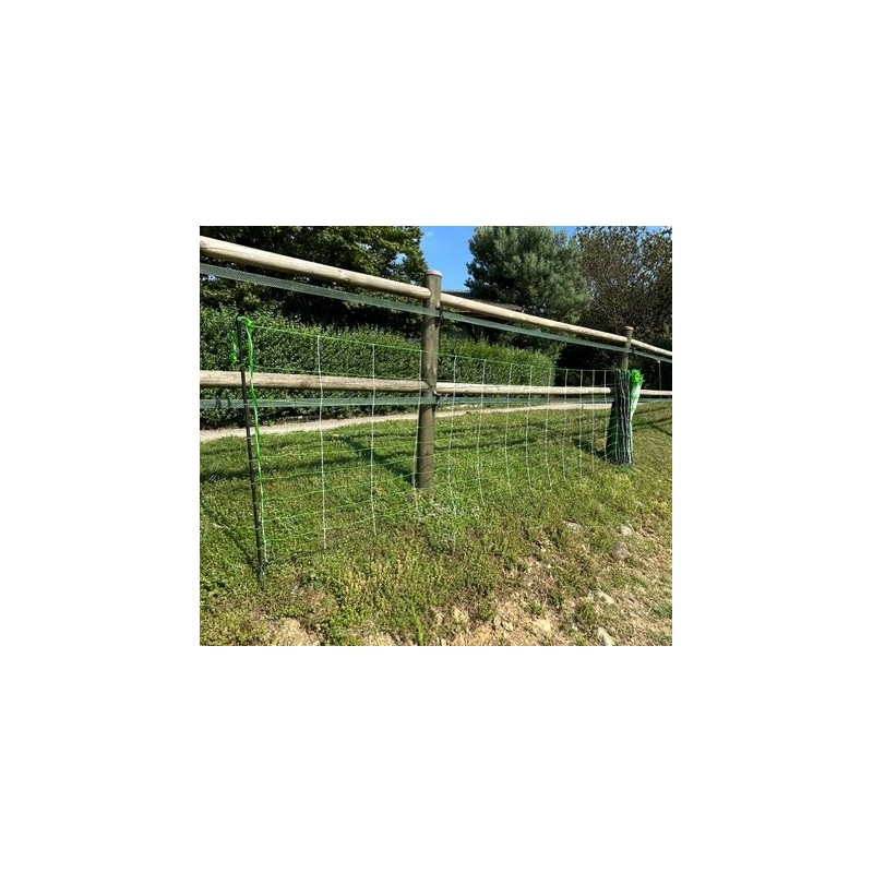 Rete pastorale