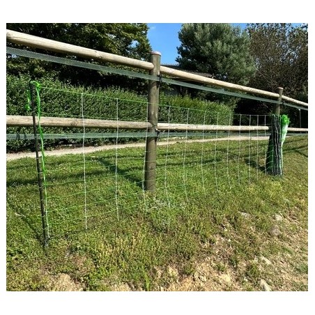 Rete pastorale