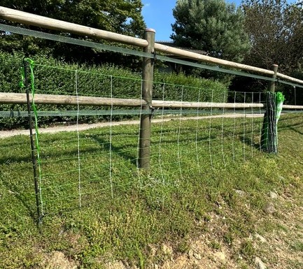 Rete pastorale